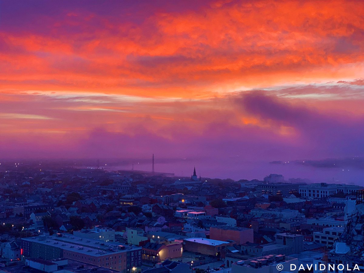 David Nola tweet media