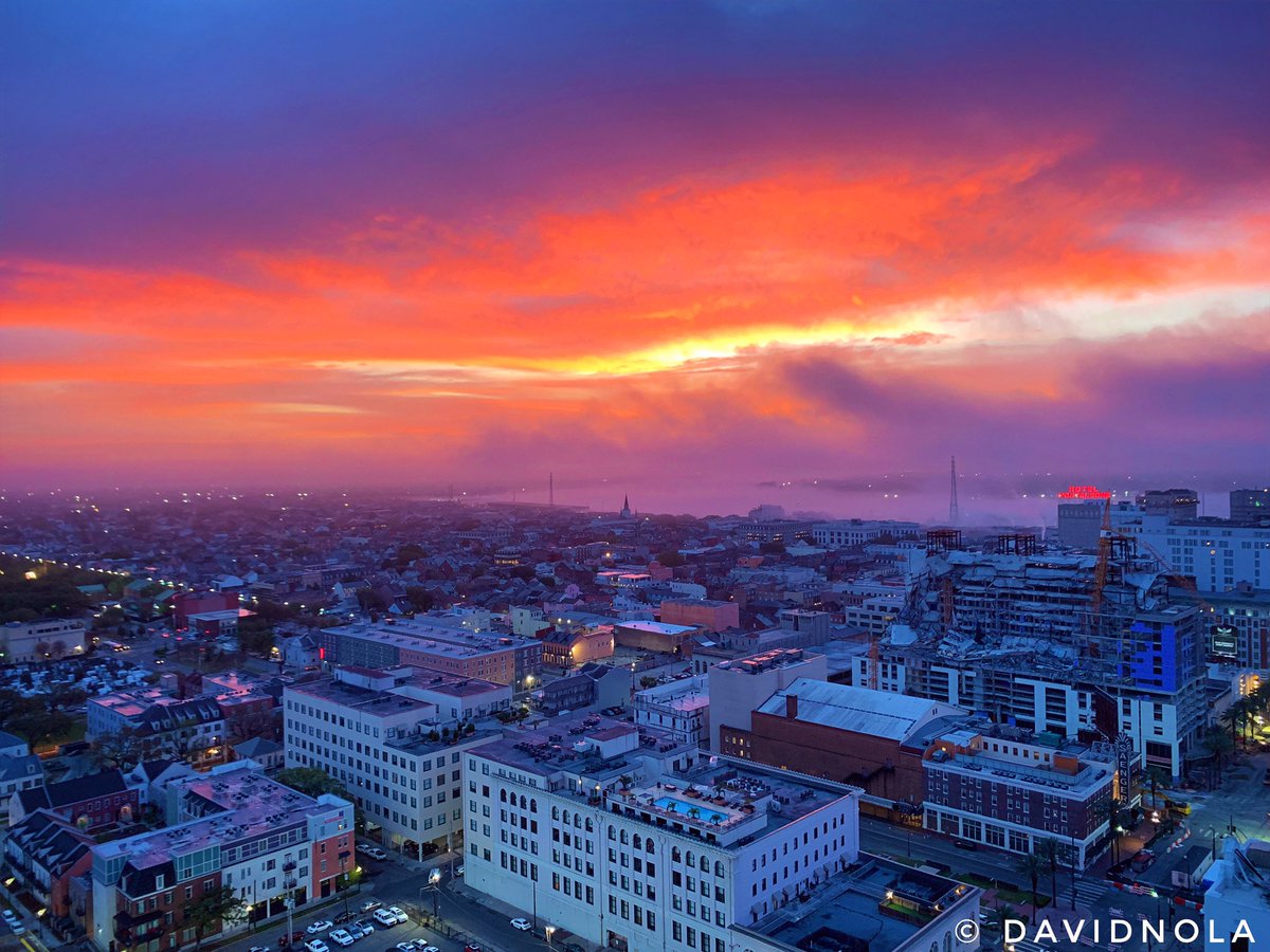 David Nola tweet media