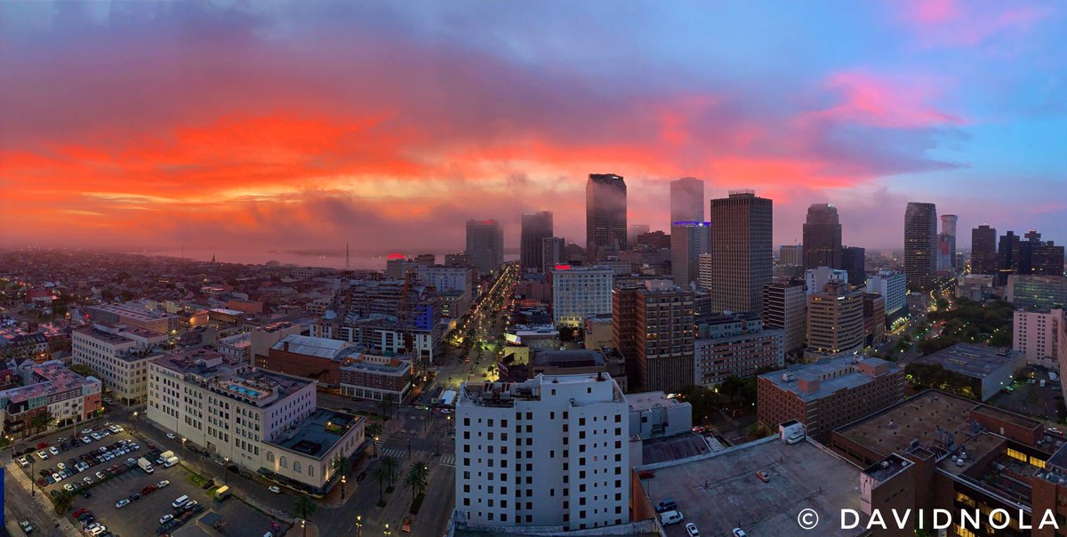 David Nola tweet media