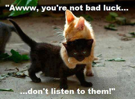 Happy Friday the 13th!