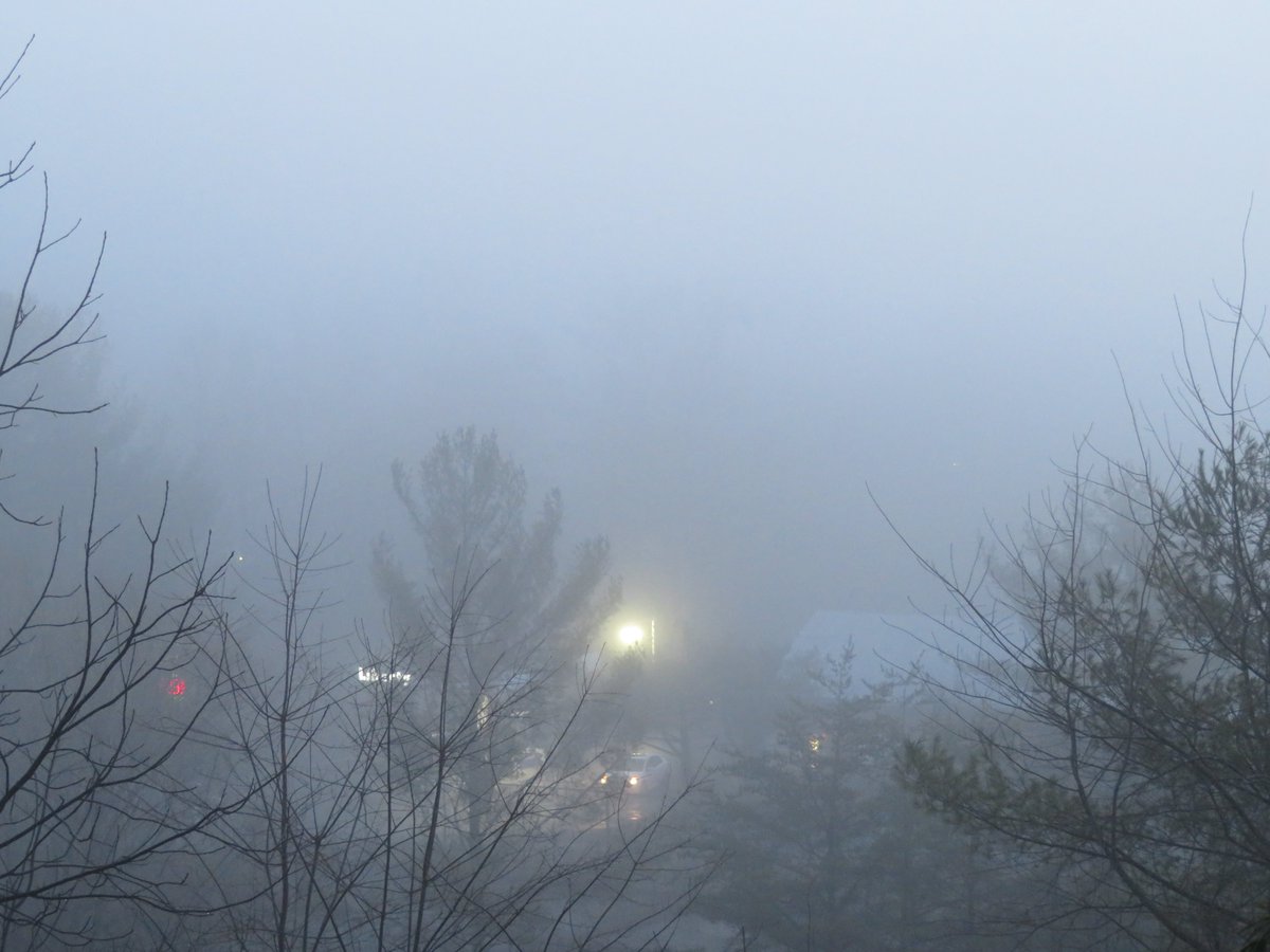 DennisB911's tweet photo. Tony, a #cats #CatsOfTwitter #weathercat, reports 54F, #SpringTime #fog in the #valley called #Basye, Va. Or #Moon (#luna #lunar) is setting. It's a warm #54F (12C) at #sunrise in the @VAShenValley @MillMuseum. A @capitalweather #weather #photooftheday @BobVanDillen &amp; @WHSVnews. https://t.co/n7Q8w61X3J