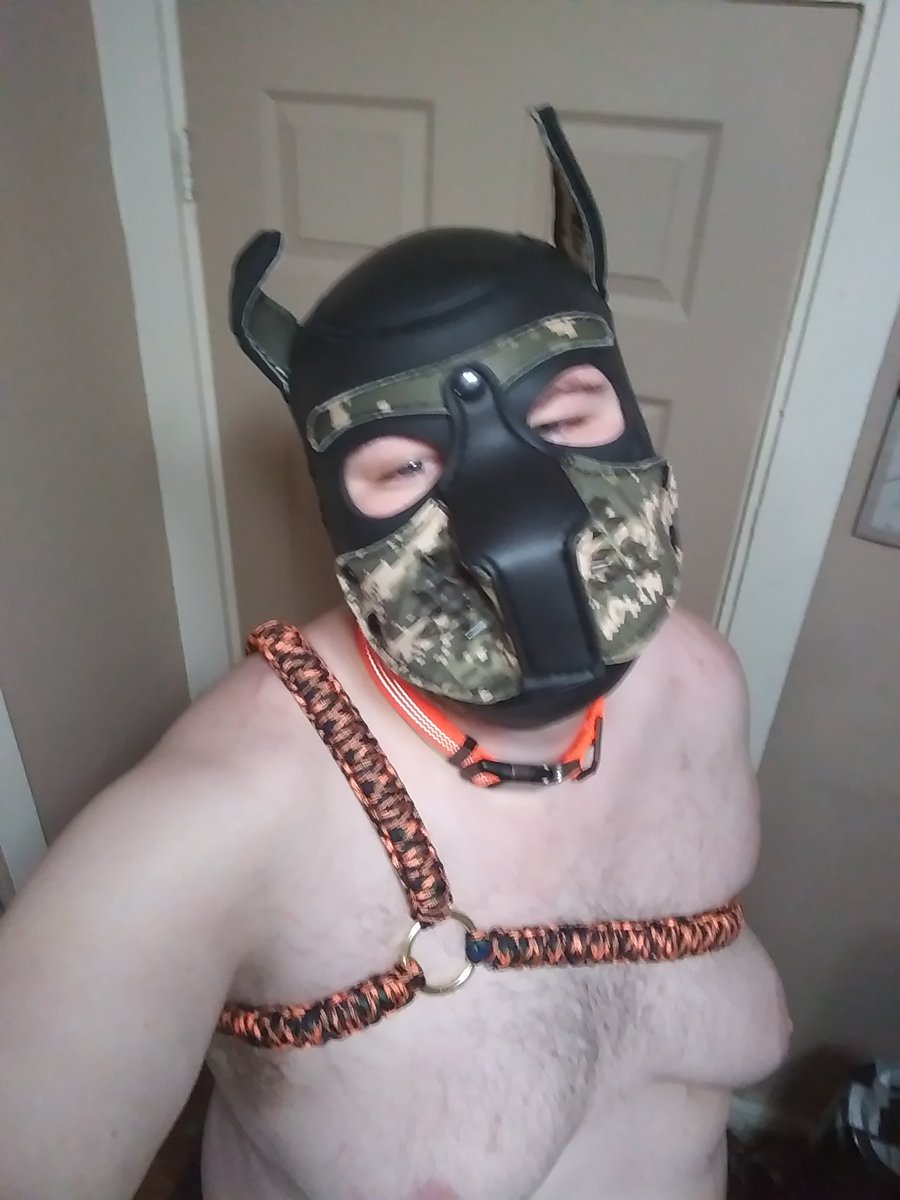 AlphaXhaos's tweet photo. Chaos loves is #customharness.
#pup #alpha #puppyplay https://t.co/McdJvW2PYZ