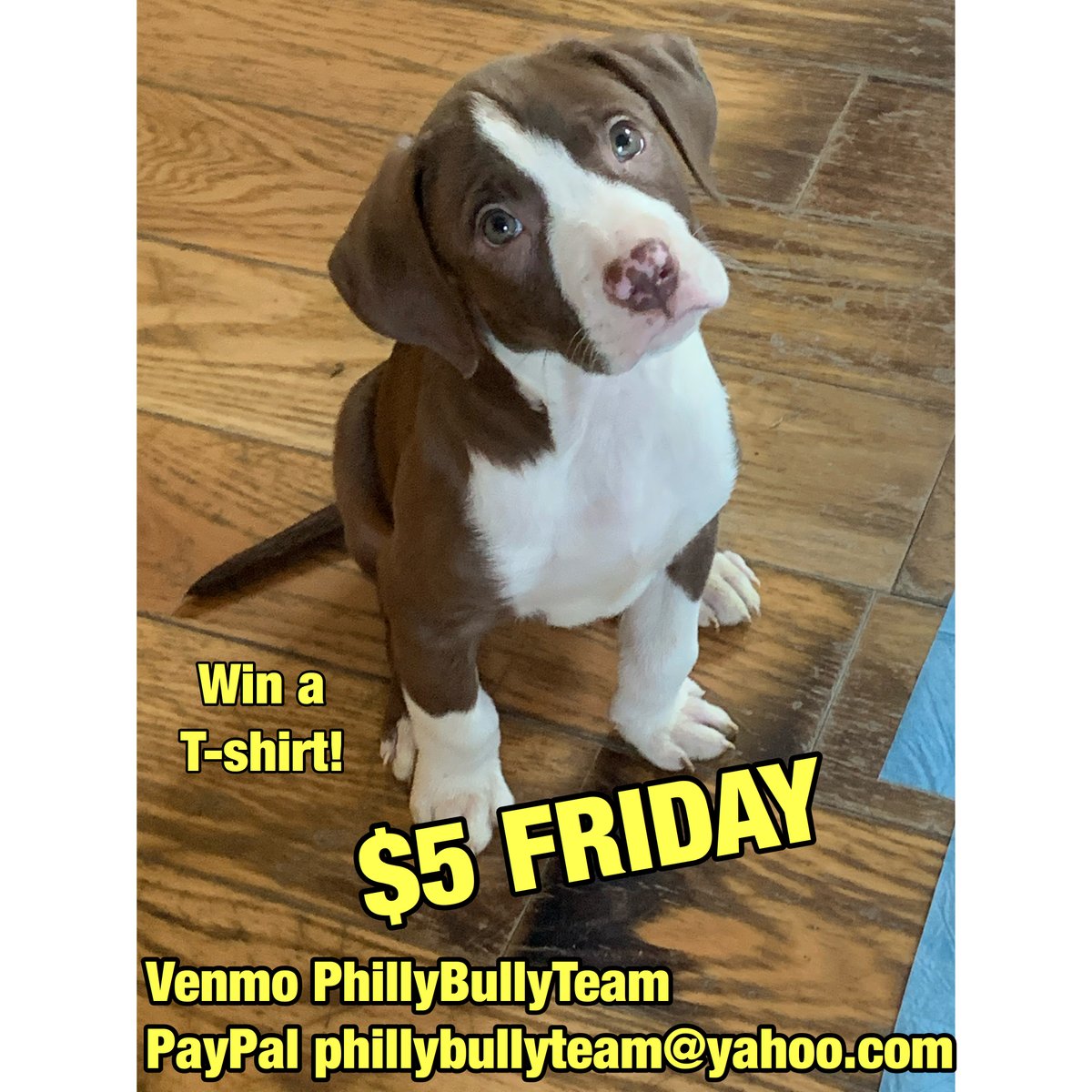 phillybullyteam's tweet photo. Happy Friday everyone! Every $5 donation is a raffle entry to win a T-shirt! https://t.co/nmMekAHWgW