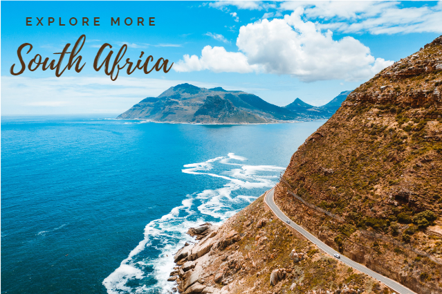 Travel 2 tweet media