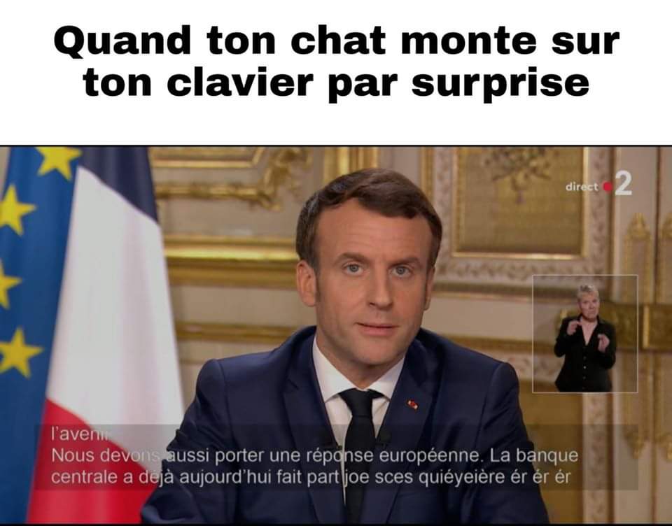 MagnumDeChampa1's tweet image. On sait que c'est toi @Nounourslechat