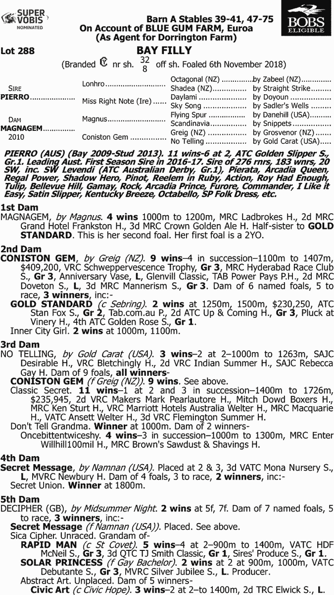 BreedWatchOC's tweet photo. #InglisMelbournePremier2020

• The Highest Priced 'Filly' by Pierro

Lot 288

Pierro x Magnagem by Magnus

[Sir Tristram: 5S X 5D]
[Mr Prospector: 5S X 5D X 5D]
[My Tricia : 5S X 5D]

Vendor @BlueGumFarm 

Sold for 220K to @GriffithsRacing &amp; Peter Ford T'Breds

#Pierro #TopFilly https://t.co/6RMYQEqdOM