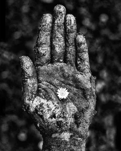 lasumira's tweet photo. #decisione

Ho imparato sulla terra a meditare
guardando un fiore,
una pianta,
o guardando la terra.

Prima di prendere una decisione,
meditavo per ore su un fiore.

E poi prendevo la decisione.

🙏

☯

Dialoghi di Straordinaria Saggezza https://t.co/XPvwZj9cLH