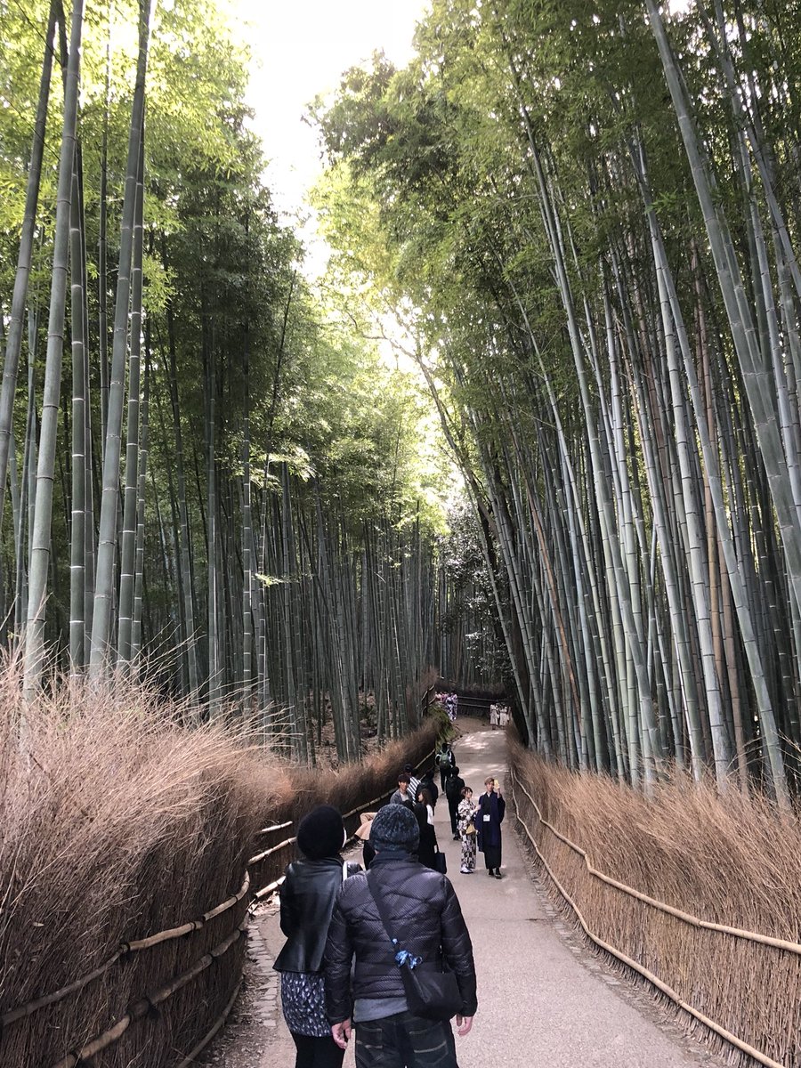 京都楽しかった〜!!!!! 