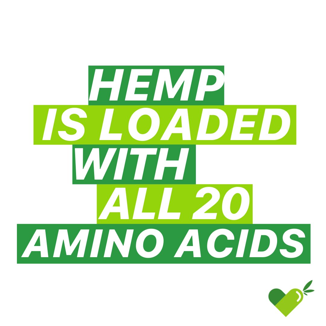ReThinkCBDUK's tweet photo. Including the 9 essential amino acids! Discover what makes our products so special here: https://t.co/T3jktrCAp2

#CBD #CBDoil #hemp #CBDhealth #wellbeing #CBDbenefits #CBDproducts #organic https://t.co/ykVZTOL28o