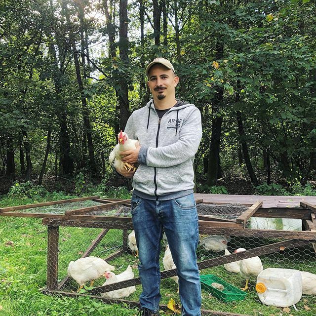 godavid's tweet photo. A képletünk egyszerű.⁣
🌱egészséges talaj + 🐂boldog állatok🐓 = tiszta élelmiszer🍗 ⁣
tiszta élelmiszer = @remenyfarm ☀️⁣
⁣
#tisztaelelmiszer #remenyfarm #farm #farmer #klima #klimakrizis #élelmiszer #farmville #kert #csirke #allat #állatok #csirkem… https://t.co/pnVrKveGBO https://t.co/qFq9qlSQDT