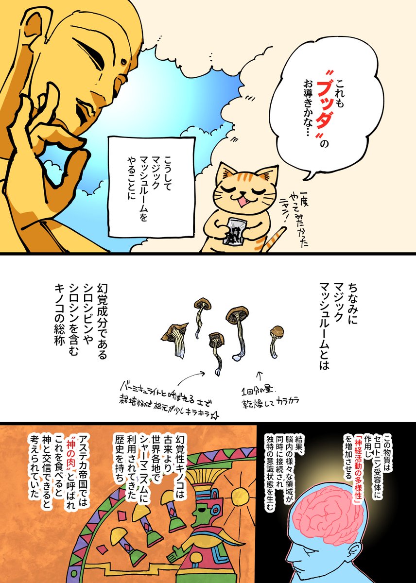 キメねこ氏の漫画 初めてマジックマッシュルームを食べた時の記録 をみると 体調悪い時に見た夢 との感想を抱くって話 Togetter