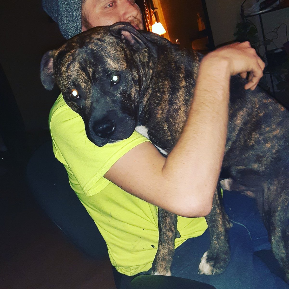 jacobgalvan3's tweet photo. My doggo https://t.co/TEtZUzC6iL
