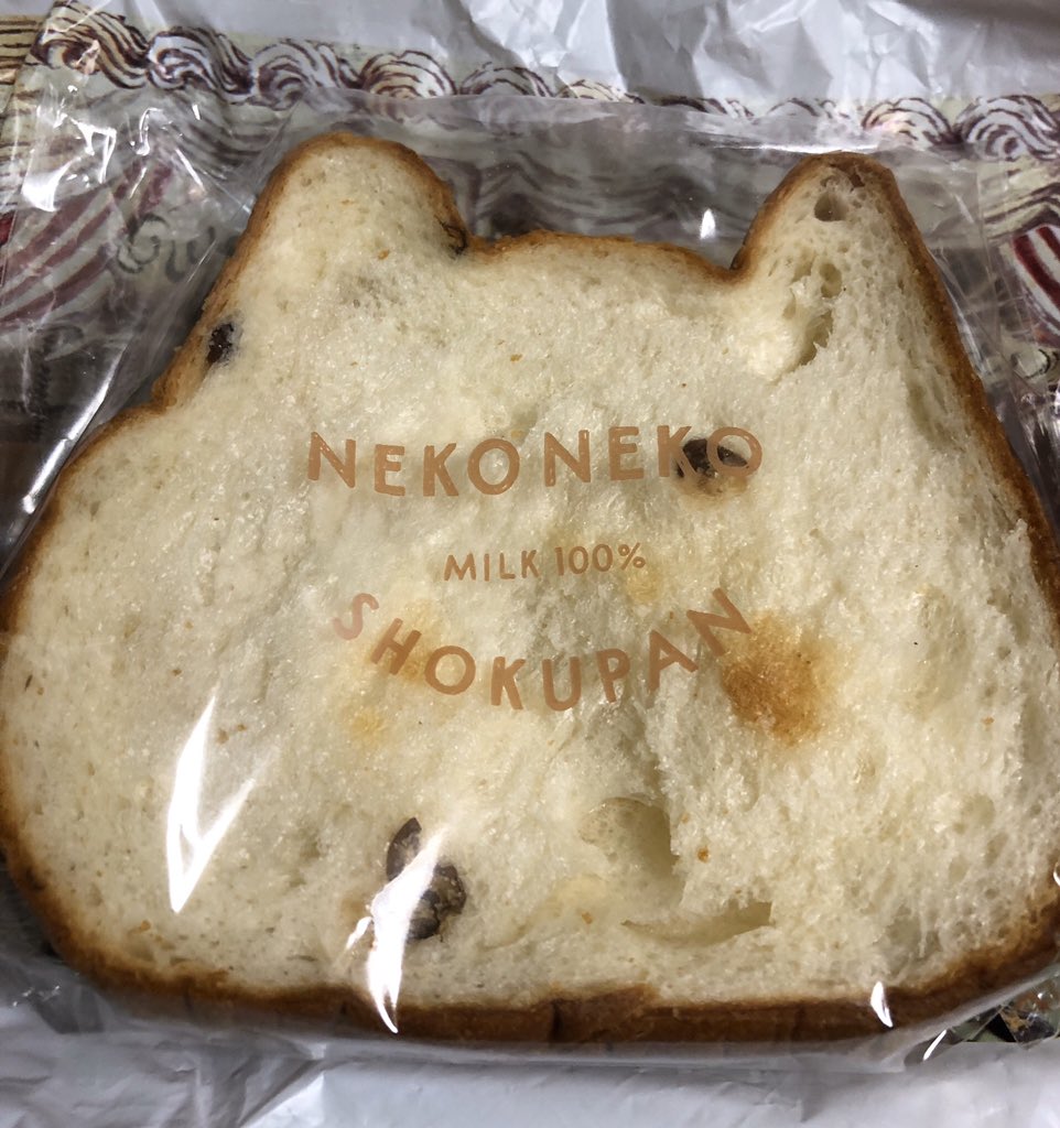 tmk_okd's tweet photo. 猫の形のパンをいただきました🍞
可愛いしふかふかで美味しかったです🐱 https://t.co/a9gcc2FhOv