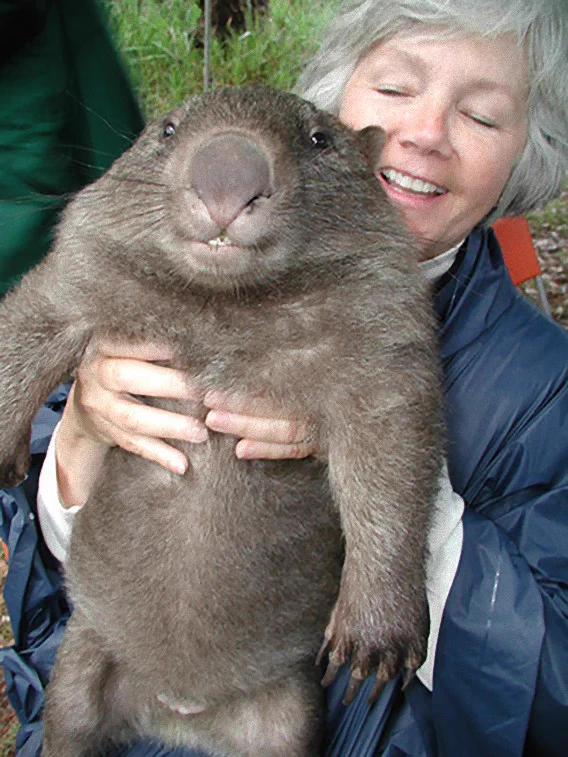 ウォンバットは実は寂しがりやな生き物だったことが判明して更に好きになった