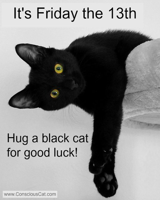 Happy Friday 13th!  #AdoptDontShop