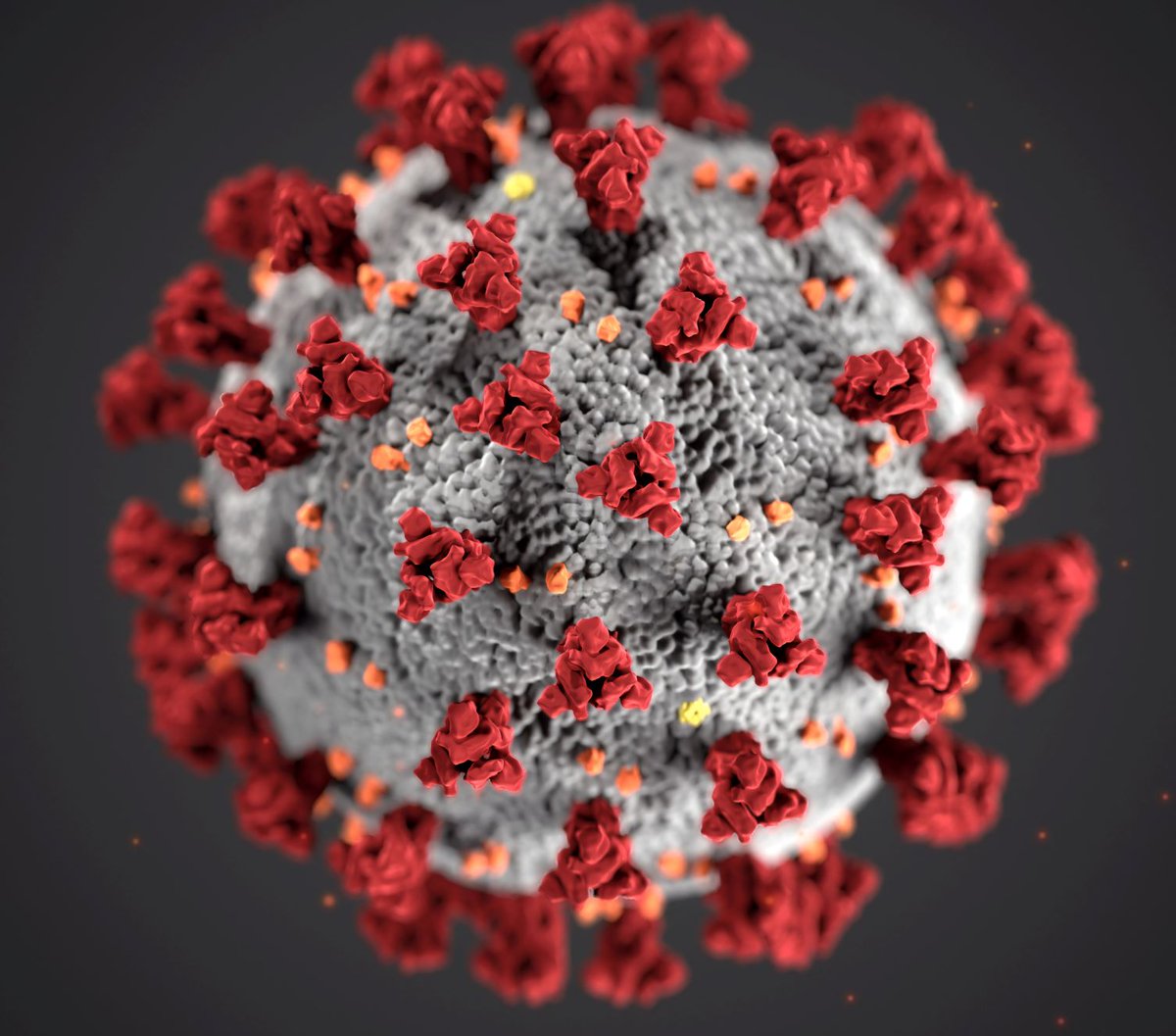 Could #Covid19 and related #coronaviruses be tackled by vaccinating the animals from which they emerge? Our portfolio company The Vaccine Group, a spin out from #plymuni has started work on just such a vaccine. Learn more here: otp.investis.com/clients/uk/fro…

#vaccine #CoronaOutbreak