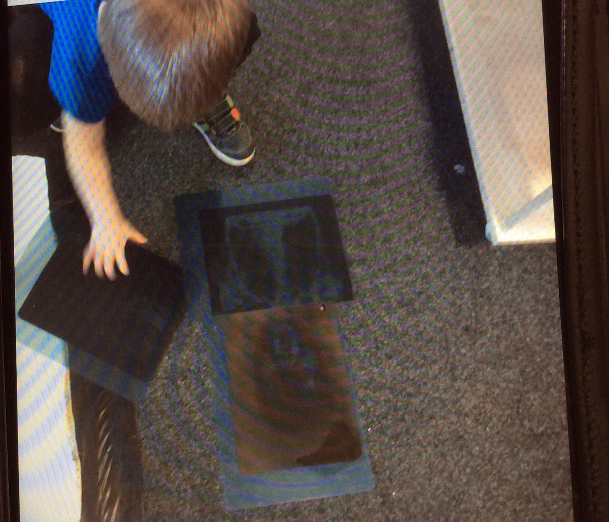 TGPS_NorthLincs's tweet photo. This week in FS2 we have exploring our environment and taking part in lots of different science activities. #TGPSScience #TGPSWorkingscientifically #TGPSSTEM https://t.co/uyHxsKU6Y3