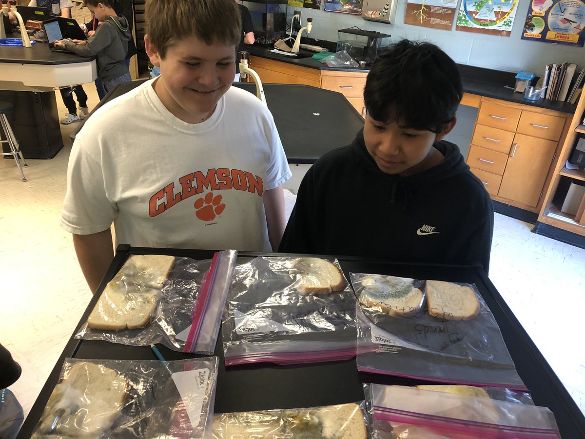 EKentrolis's tweet photo. Perfect day to look at our moldy bread experiment to encourage hand 🖐 washing 🧼!!! https://t.co/NpcKOKK2l9