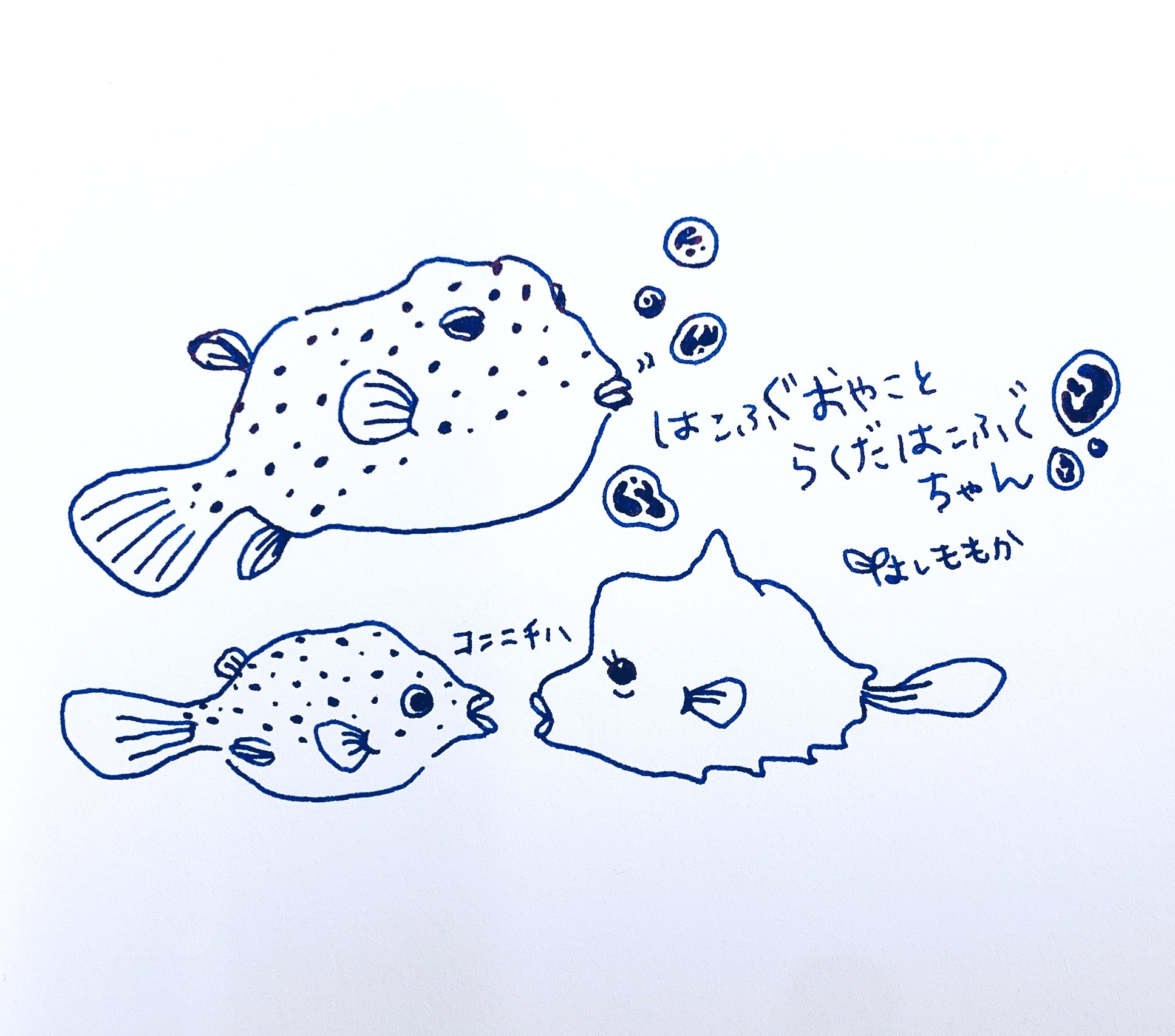 はしももか ハコフグの練習 ハコフグ インク 万年筆 イラスト T Co Yicwstws7x Twitter