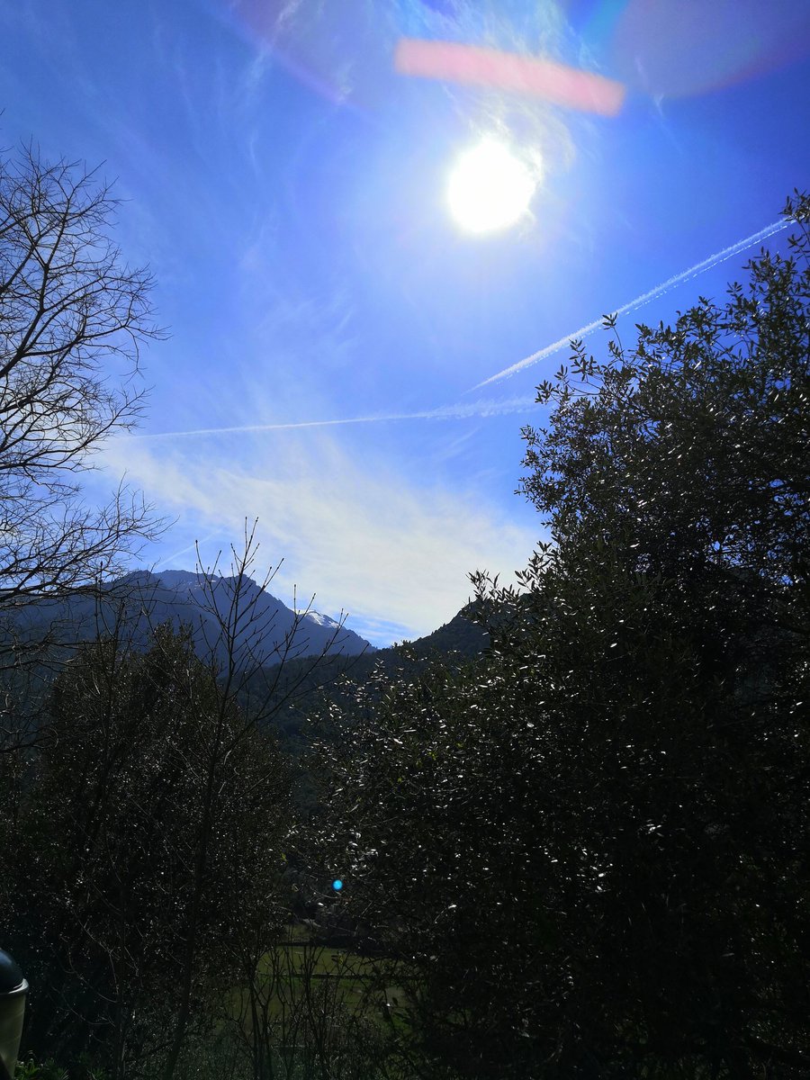 365daysofKB's tweet photo. @audrey10011980 @MelanieScrofano Et pendant que certaines parle t de donuts, une autre part sous un soleil de plomb éliminer ceux qu'elle n'a pas mangés... #corsica https://t.co/dZm00yEQzy