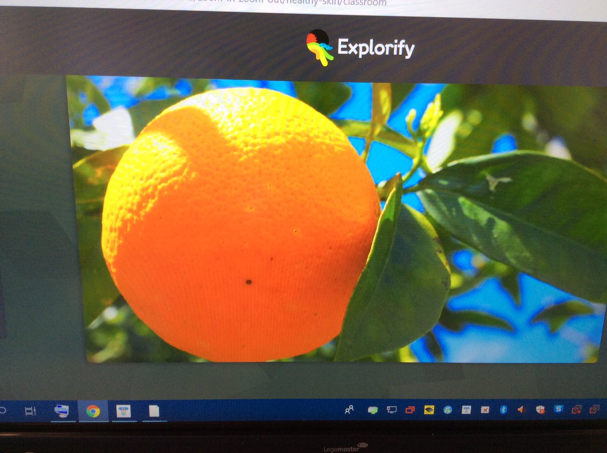 TGPS_NorthLincs's tweet photo. F1 have been using Explorify to explore textures and make predictions. #TGPSeyfs #BSW20 #TGPSScience #TGPSTheWorld https://t.co/8z50xTVXPQ