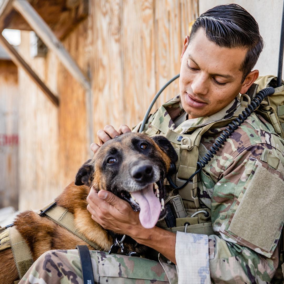 On this #K9VeteransDay we honor every dog who fearlessly served our country and protected their fellow troops.