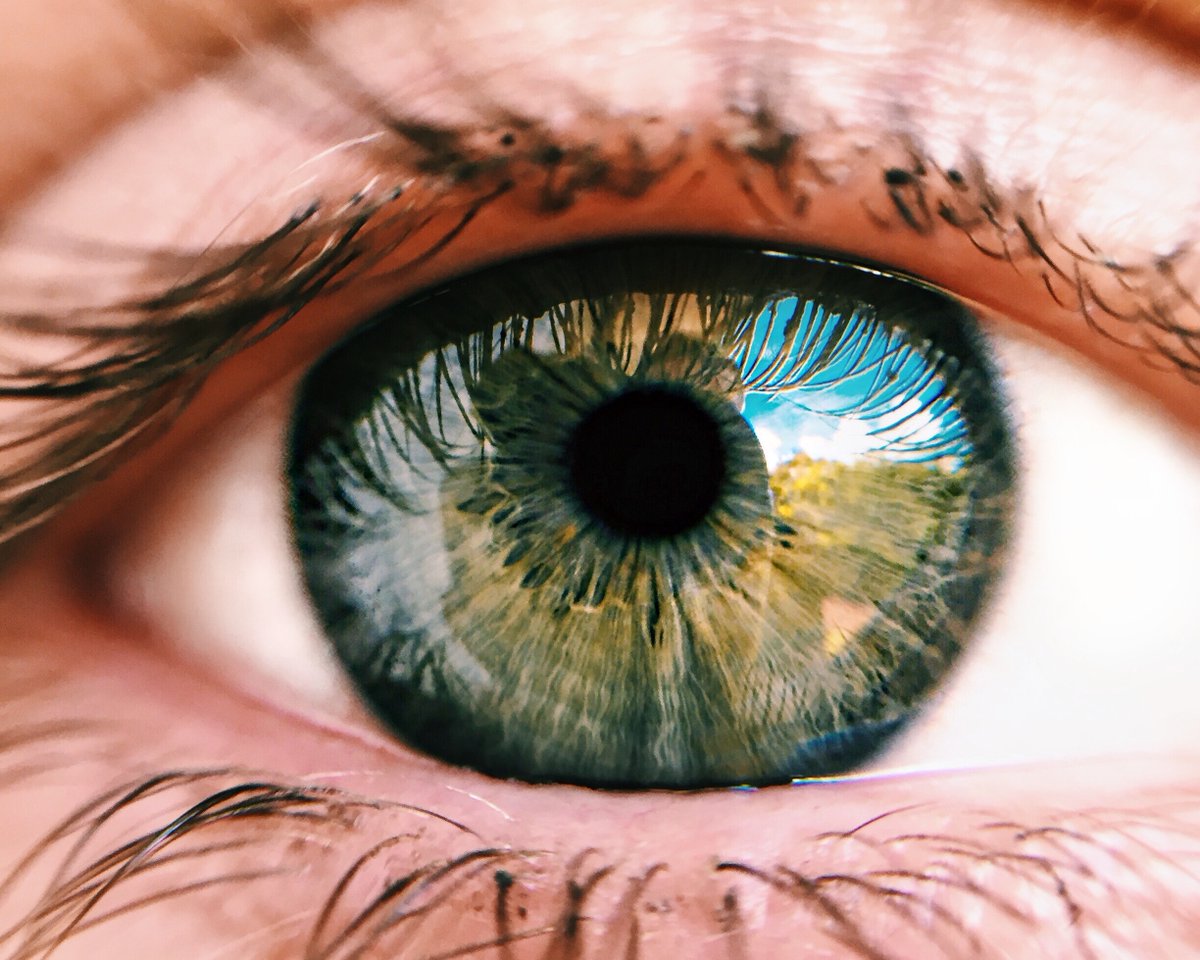 CollegeOptomUK's tweet photo. Not only is 2020 the #yearofvision, but it also happens to be the 20 year anniversary of our journal, Optometry in Practice. @ProfLeonDavies FCOptom, looks back at key publications to see what's changed in that time. Read now: https://t.co/LBVT7n8vEn https://t.co/kkL0k3GBFN
