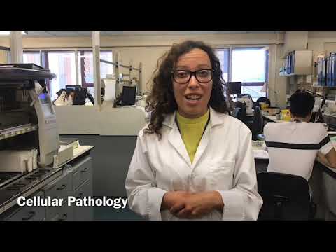 UHD_NHS's tweet photo. Did you know that biomedical scientists are involved in a staggering 70% of all diagnoses? Check out this video for a glimpse behind the scenes of our Pathology Department. Thanks #TeamRBCH, for all that you do! #HCSW20 https://t.co/tre9zYEpZP https://t.co/6KYYa500ag