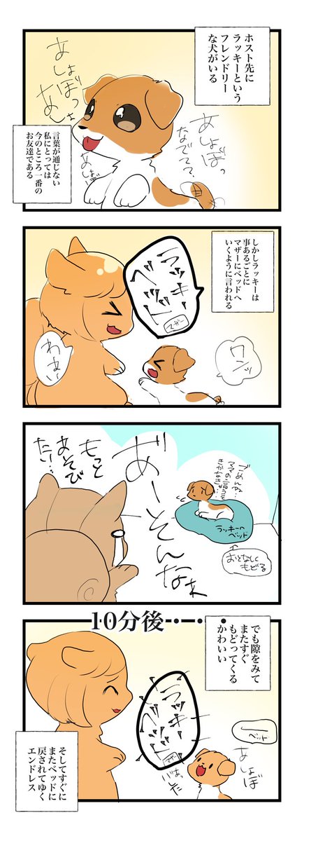 ホスト先のラッキーというワンコが可愛い話らくがき 