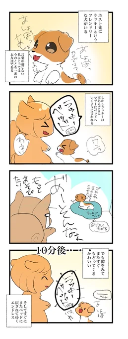 ホスト先のラッキーというワンコが可愛い話らくがき 