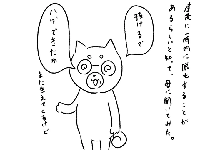 産後に一時的に髪が抜けることがあるそうです。
産後はメンタルも不安定になることもあるそうなので、夫の皆さんには気を付けていただきたい!! 