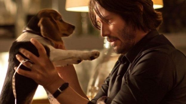 my_grayne's tweet photo. #filmsof2020 #amwatching #march2020 #JohnWick #KeanuReeves https://t.co/FADRJWJdxT
