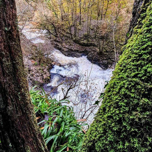 almostannoyed's tweet photo. Wandering along the high paths.

#wales #igerswales #cymru #walesonline #southwales #igerscymru #waterfall #discovercymru #hiking #hike #outdoors #cardiff #hikingadventures #britain #trekking #lovegreatbritain #ukpotd #greatbritain #visitwales #breconbea… https://t.co/GO2EntynXt https://t.co/dSROf2wzD1