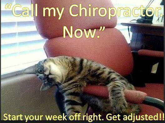ChiroLewisville's tweet photo. Check us out on the web at: https://t.co/JVUj3ws9tZ #shinechriorpractic #chiropractorlewisville #dfwchiropractor #shoulderpains #shoulderpainslewisvilletx https://t.co/V6E18bRbau