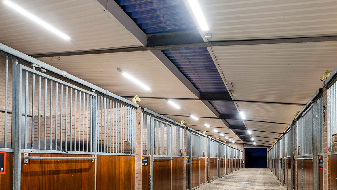 SILVERSUN_LED's tweet photo. Our partners from Ecobility Benelux have completed the replaced of the lighting system in @StalDeSjiem riding school in The Netherlands. Now it's illuminated by a #LED lighting system. More info: https://t.co/BAWMdjpxtW https://t.co/FcgVQXjmYg