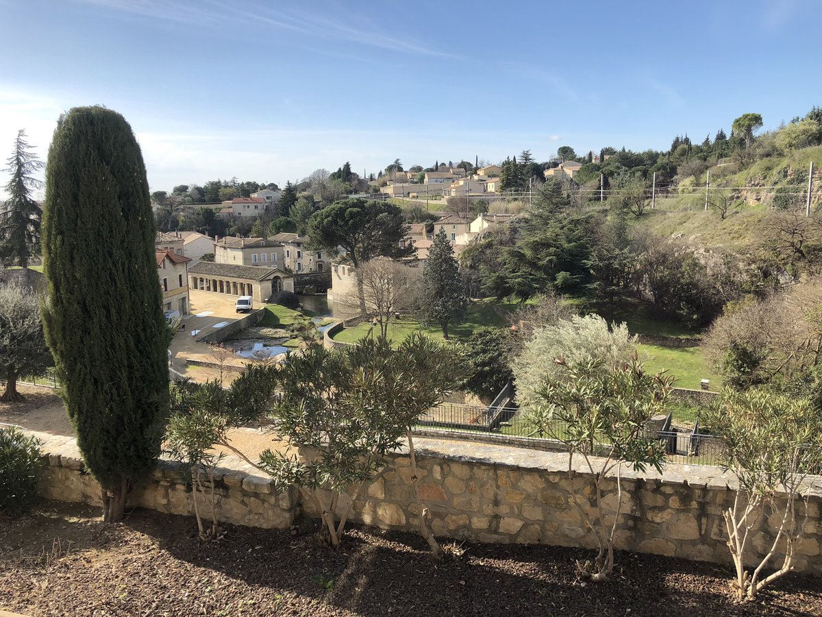 Charlotte Mader tweet media