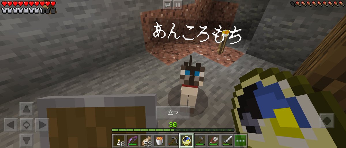 セン マインクラフト ハードコア 32日目 １ヶ月越えた ゝ 作りたい建築は決まったものの もう少し広げておきたいのでまだ整地 溶岩採取の際には猫はお留守番 行商人って透明化ポーションは売りに出さないのかな 一番売れるだろうに