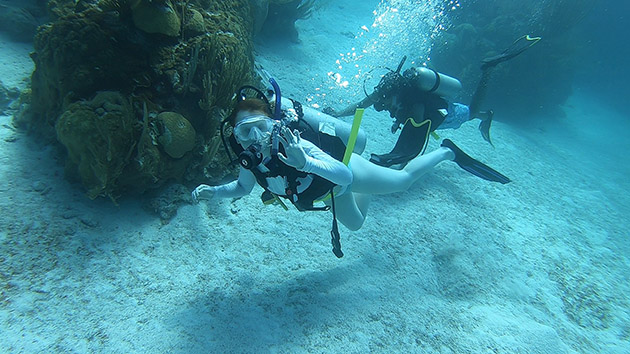 One month left to apply for the 2020 BIOS #Marine #Science #Internship, August 10-21. This immersive program is a great way for #students aged 14-16 to gain #resume building skills and #training in the science #research and #diving bit.ly/MSIonemonth