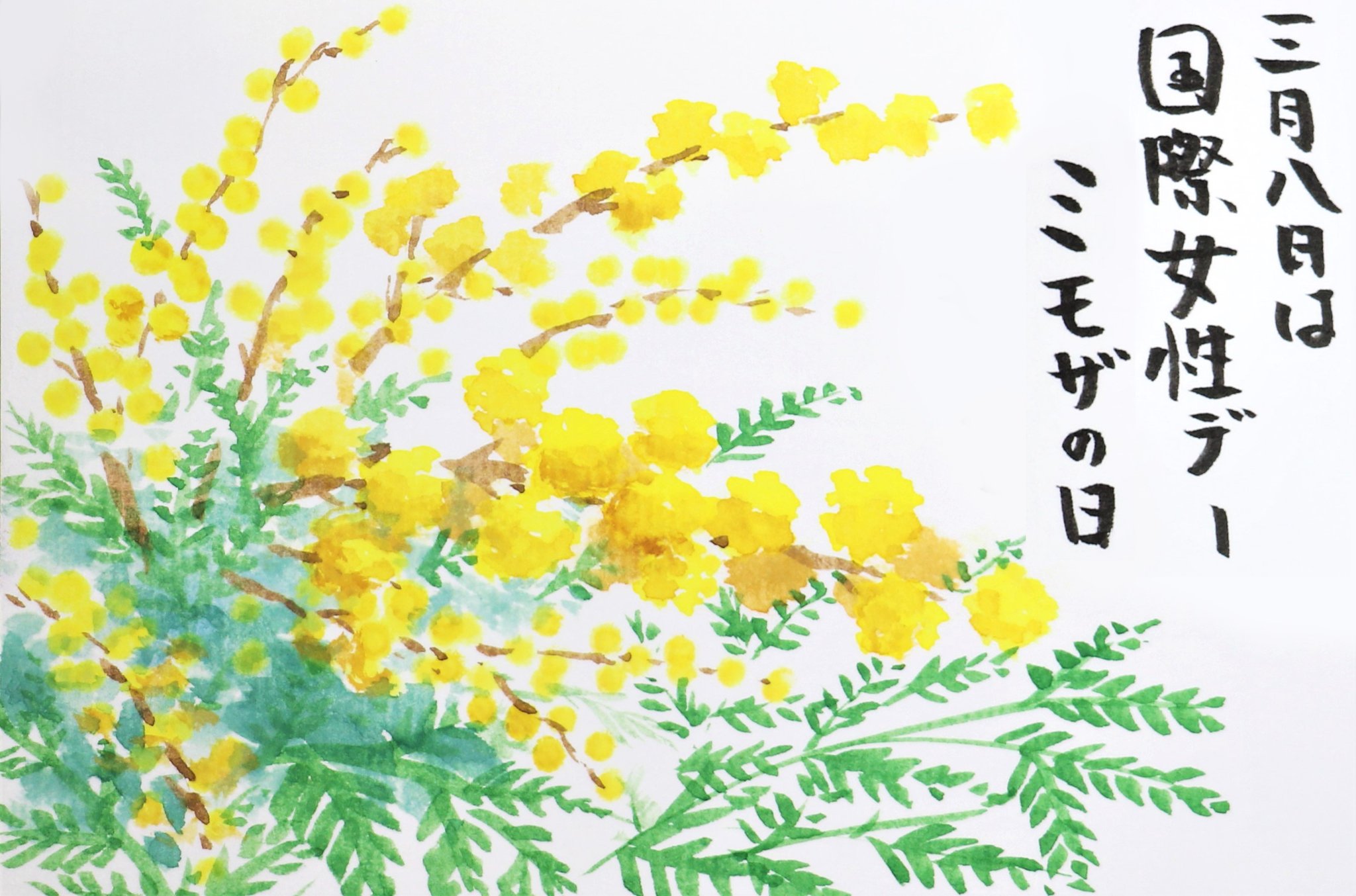 快適art絵手紙 少し前に描いた線画のない春の花たち 香りのいいミモザと春の妖精のカタクリです ミモザの花は綿棒で描きました Youtube解説動画はこちらから ミモザ T Co Qxgpswh1pg カタクリ T Co Jhytjo1qdn チャンネルページ 快適art絵手紙 少し前に描いた線画のない春の花たち 香りのいいミモザと春の妖精のカタクリです ミモザの花は綿棒で描きました Youtube解説動画はこちらから ミモザ T Co Qxgpswh1pg カタクリ T Co Jhytjo1qdn チャンネルページ
