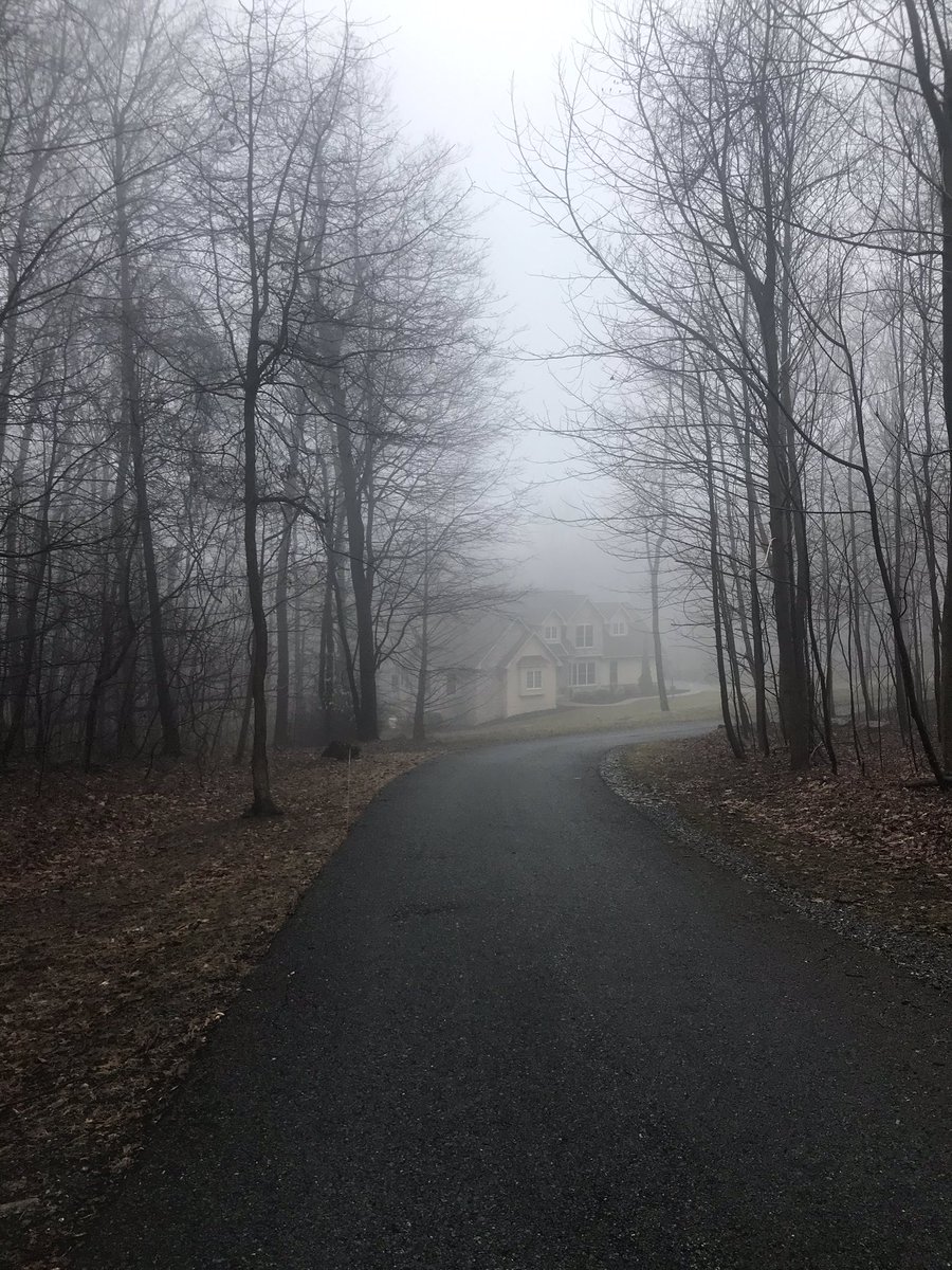 An unexpected free day (schools closed due to COVID-19 possible exposure) equals a very foggy walk