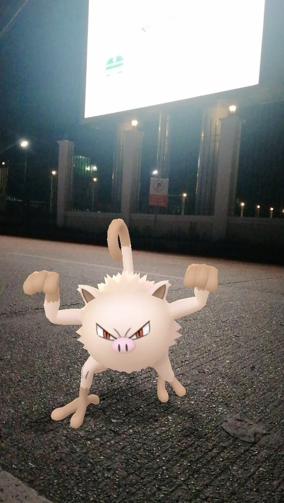 johnerickdgreat's tweet photo. This evening is like the #CommunityDay of Fighting Type @Pokemon💪! They are spawning everywhere!
#PokemonGo #SnapShotGo https://t.co/UlfFPSEutM