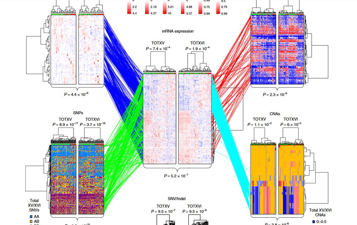 ⚡️Check this fab <a href="/NatureCancer/">Nature Cancer</a> paper - Integrative genomic analyses reveal mechanisms of glucocorticoid resistance in #ALL by <a href="/rj_autry/">RJ Autry</a> #WilliamEvans #leukemia
nature.com/articles/s4301…

Read it here:
rdcu.be/b2Vkg

Behind the paper:
x.com/rj_autry/statu…

#HappyFriday