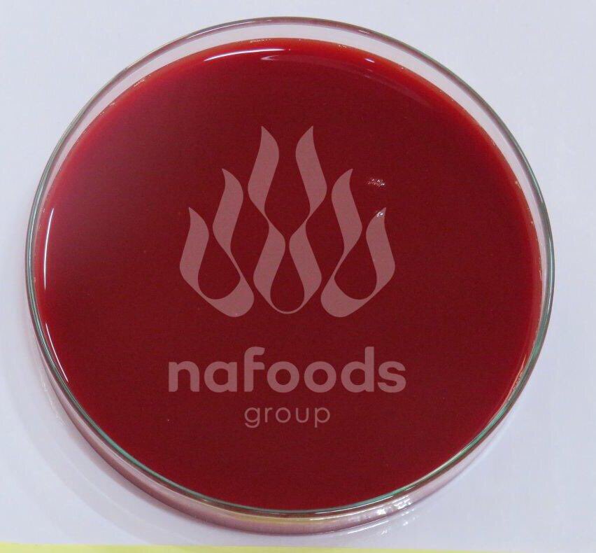Nafoods's tweet photo. Frozen red dragonfruit puree
Seedin or seedout
Produced by Nafoods
Origin: Vietnam
#red #dragonfruit #pitaya #puree #juice #nafoods #natural https://t.co/wKi514xXBA