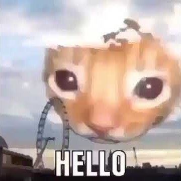 ... (@fioscorde) on Twitter photo 