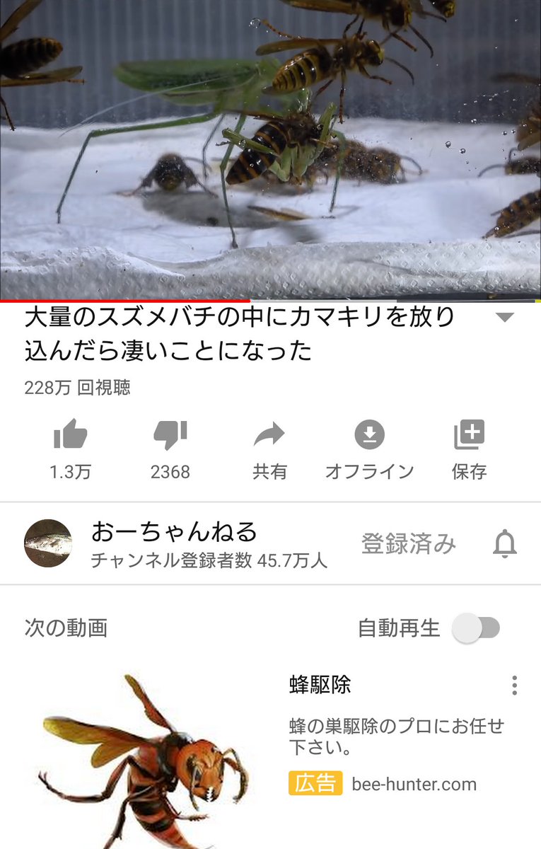 おーちゃんねる