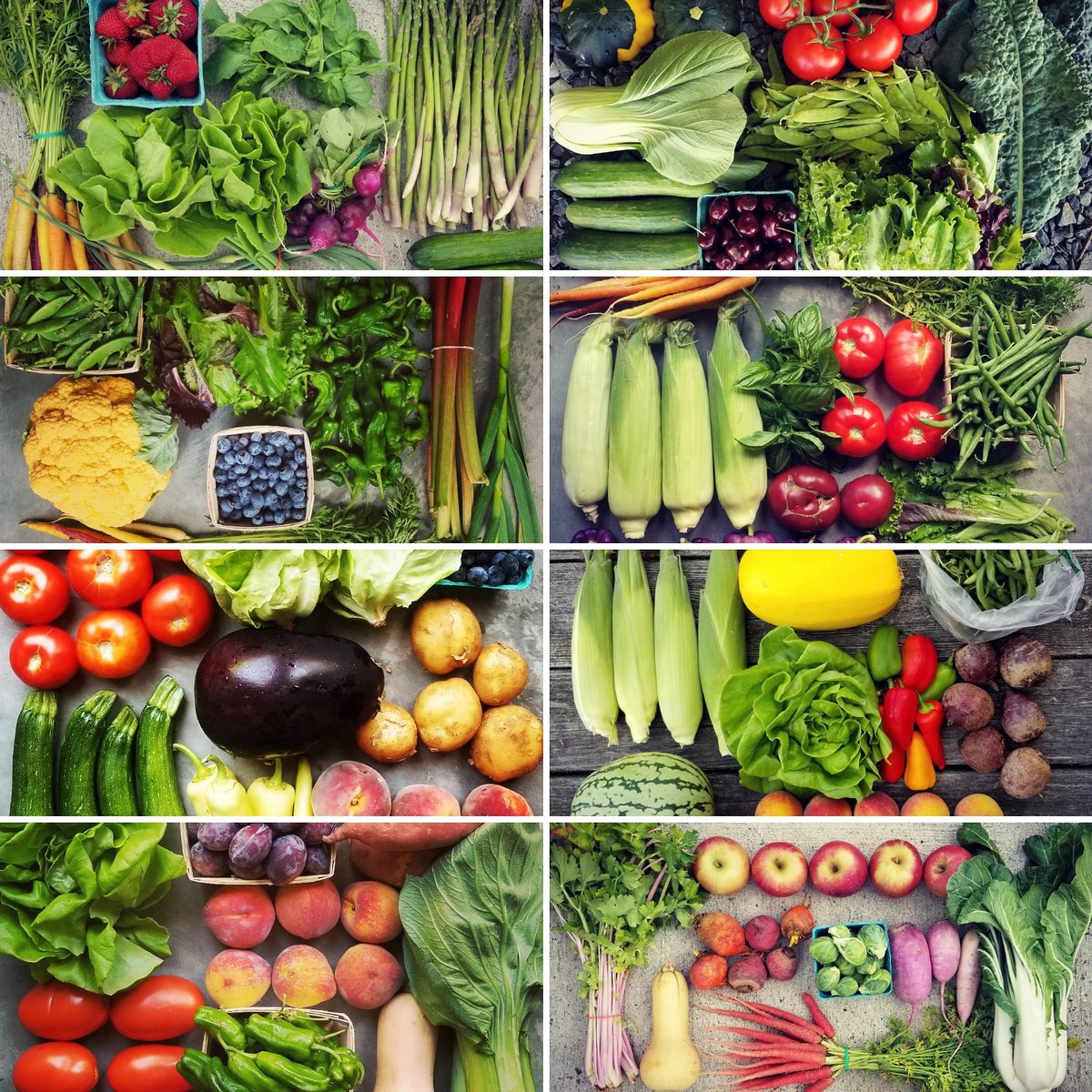 groundworksfarm's tweet photo. Our CSA will remain an extremely safe way to get your healthy, local, organic, nutrient-dense household groceries.  Thus, the Summer-Fall 2020 CSA is filling up very quickly.  Be sure to register and reserve your spot while there is still room left. https://t.co/zcMZxcs2Se