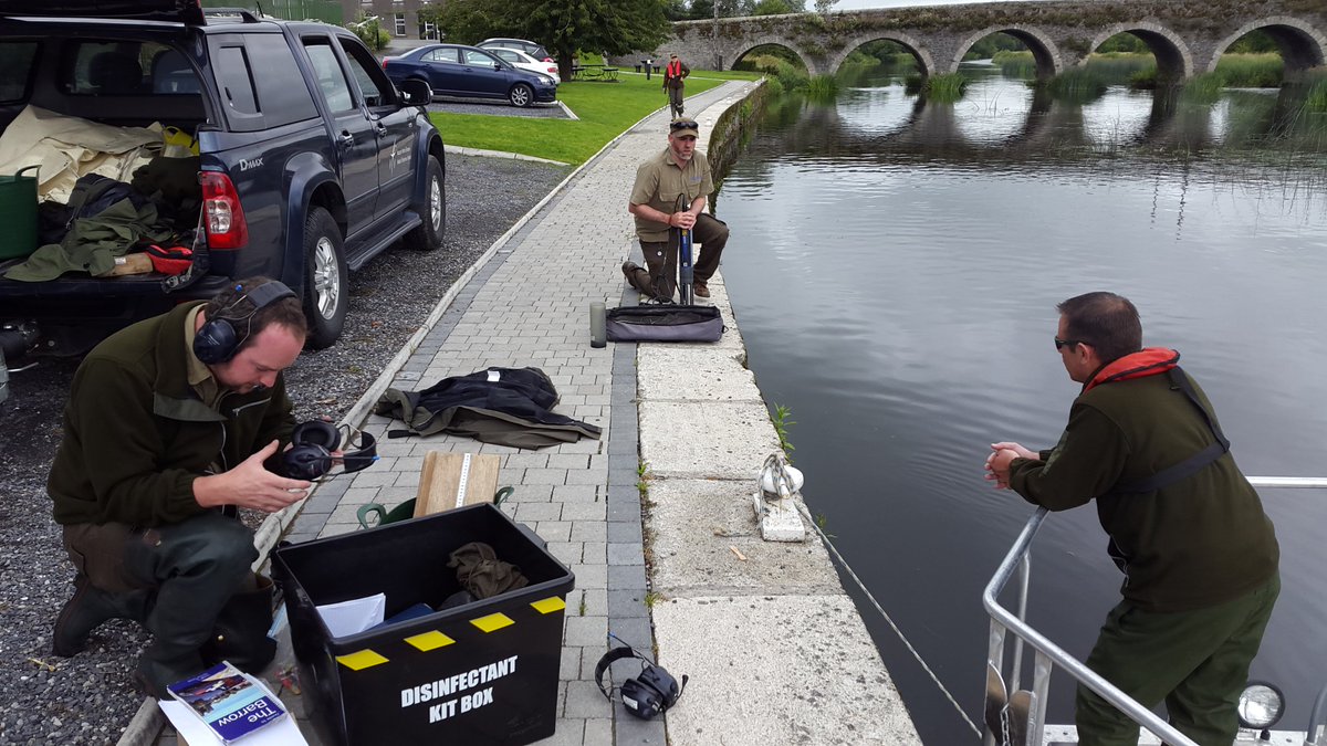 IFI Research tweet media