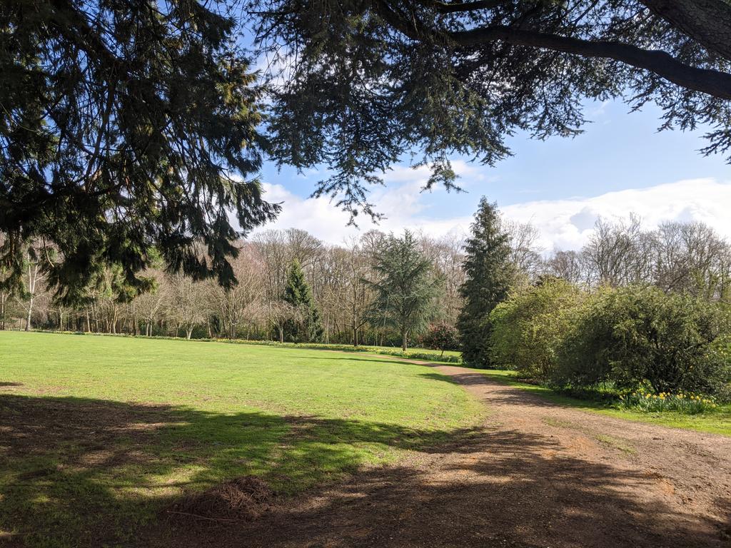 Beautiful weather at Roke Manor this afternoon. Who says an office job needs a concrete jungle?