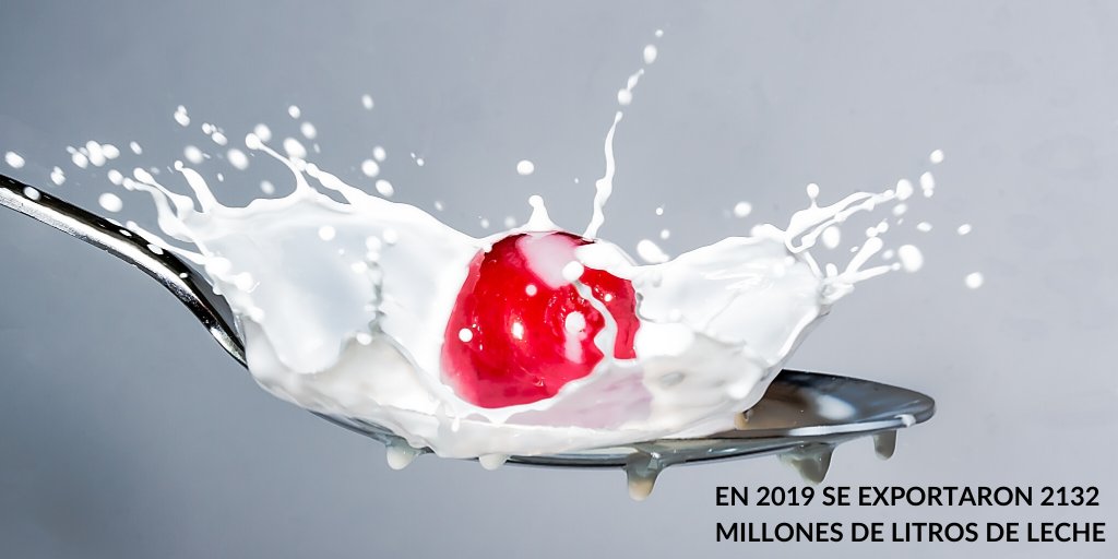 fun_pel's tweet photo. #SabiasQue
En 2019 se #exportaron 2132 millones de litros de #leche🥛
📄Más info sobre #DatosClave2019 en la web del #OCLA 👉https://t.co/IX7jDm5TEC https://t.co/1vO1xmukBM