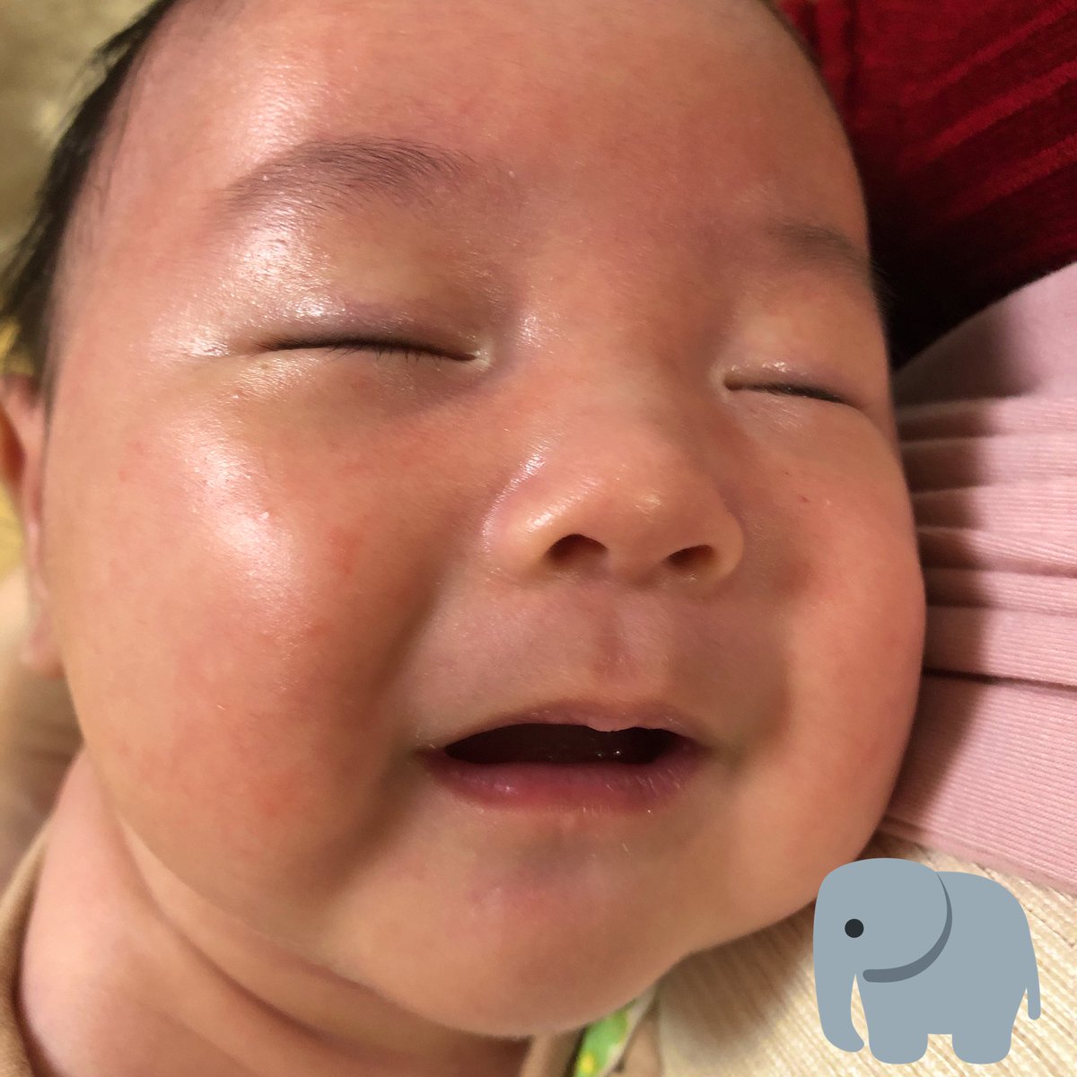 下地 めぐみ Megumin Okinawa Twitter